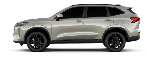 NUEVA H6
